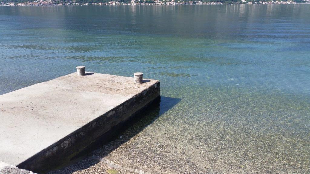 Villa Branka Kotor Exteriör bild